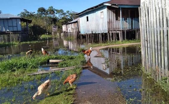 image for Tarapacá / Poco a poco el río entra al pueblo