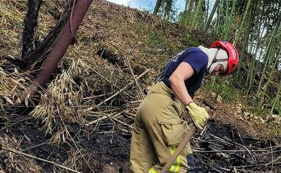 image for Bomberos atienden quema de material vegetal en la vía La Tebaida