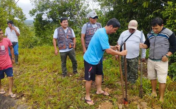 image for Trabajos de reforestación  en el centro poblado de Nuevo San Juan