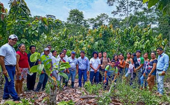 image for Capacitación sobre el seguro catastrófico a productores agrario