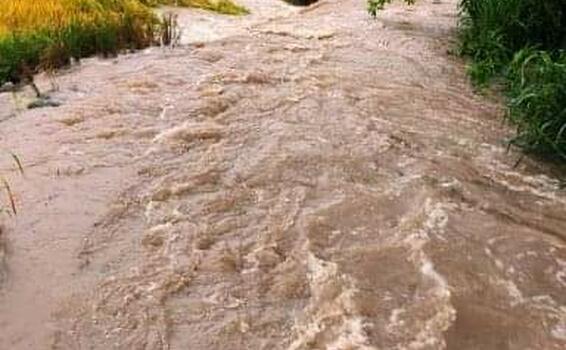 image for Intensas lluvias caen en San Martín