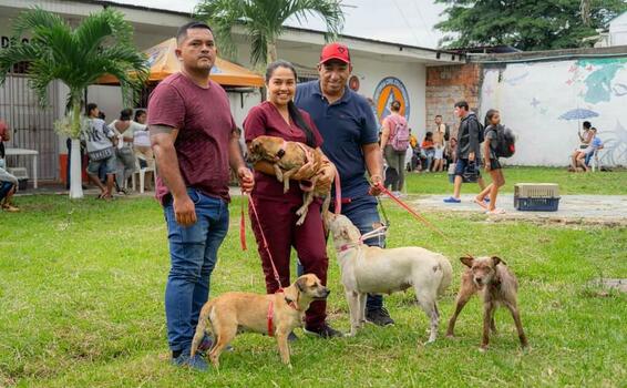 Jornada de esterilización para gatos y perros image for Jornada de esterilización para gatos y perros