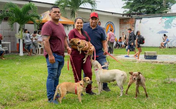 image for Jornada de esterilización para gatos y perros