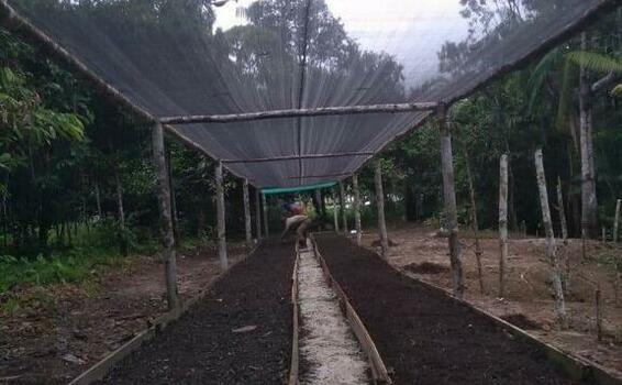 image for Moradores da Fazenda da Esperança iniciam trabalhos de horta