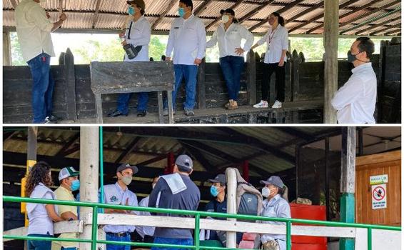 image for Colombia trabaja para lograr la reapertura del mercado peruano