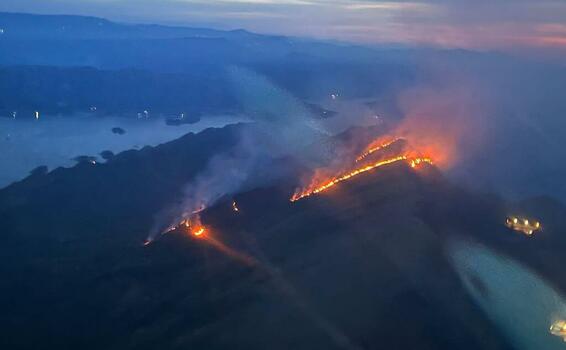 image for Incendio forestal controlado en límites entre Purificación y Prado