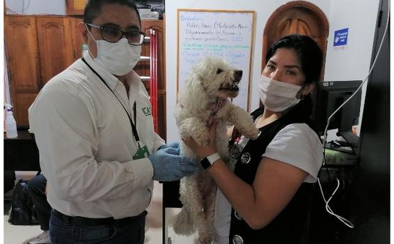 image for ICA realiza control durante la salida e ingreso de mascotas a Colombia