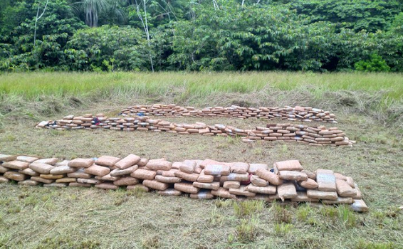 image for Polícia destruiu 700 quilos de drogas apreendidas nas diversas ações