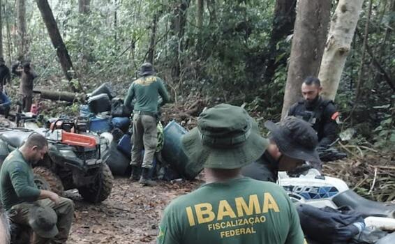 image for Desmatadores são presos em flagrante durante operação