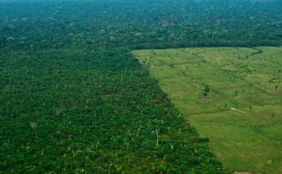 image for Amazonía está perdiendo su fuerza