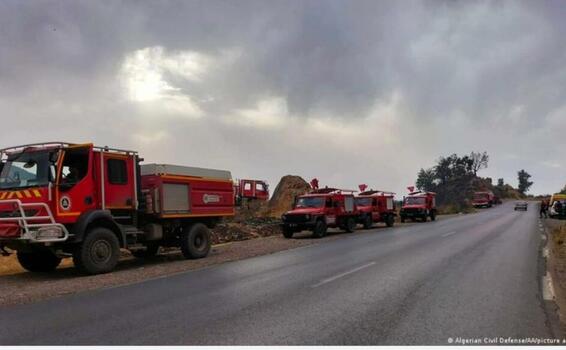image for Incendios forestales dejan 26 muertos en Argelia