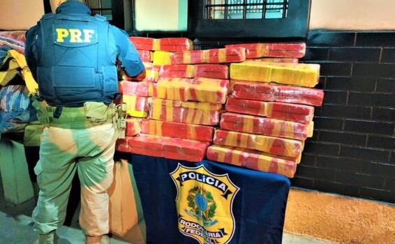 Mais de 200 kg de maconha são apreendidos em Brumado image for Mais de 200 kg de maconha são apreendidos em Brumado
