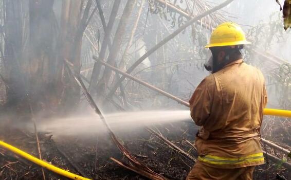 image for Incendio del tamaño de Itagui arraso parte de la selva del Darien colombiano