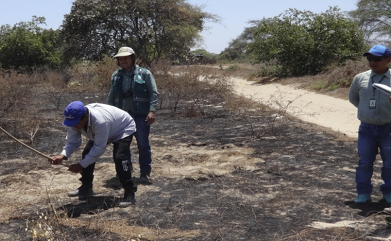 Corpoguajira intensifica acciones para prevenir incendios forestales image for Corpoguajira intensifica acciones para prevenir incendios forestales