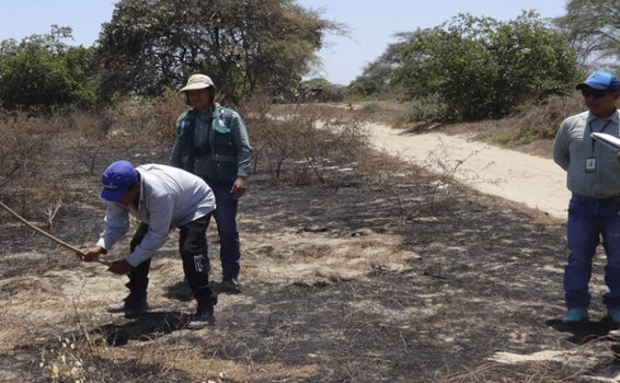 image for Corpoguajira intensifica acciones para prevenir incendios forestales