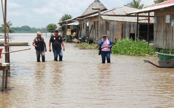 image for Declaran en estado de emergencia a distritos de la provincia de Ucayali