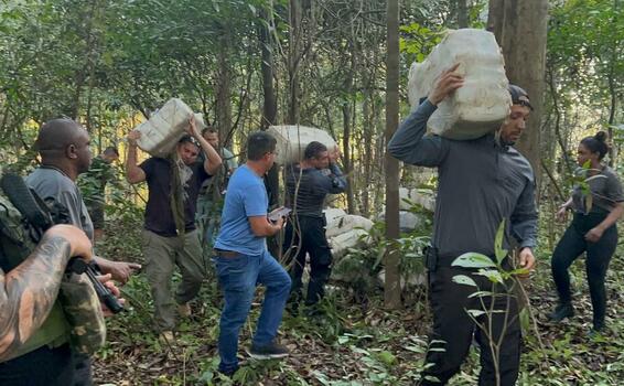 image for Policia apreende uma tonelada de maconha