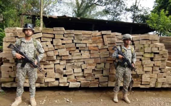 Personas al lado de un arrume de listones de madera incautda