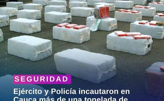 image for Incautación en Cauca más de una tonelada de marihuana