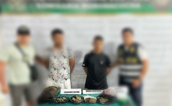 Policía desarticula banda Los Capos de la Marihuana image for Policía desarticula banda Los Capos de la Marihuana