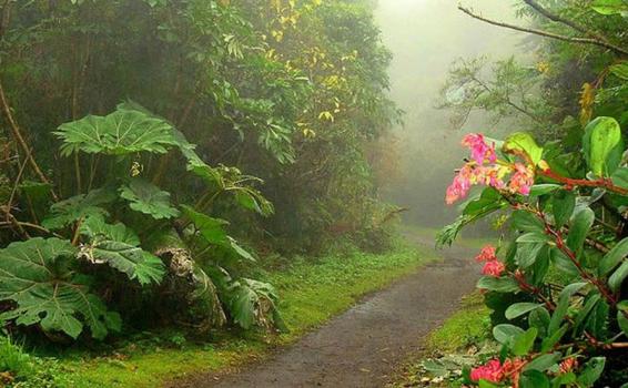 Zonas verde de Costa Rica