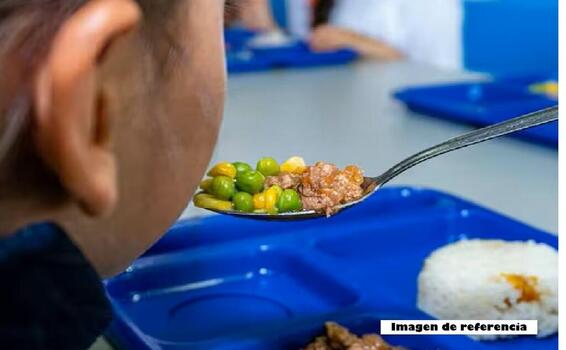 Contraloría determinó hallazgos fiscales en ejecución del PAE image for Contraloría determinó hallazgos fiscales en ejecución del PAE