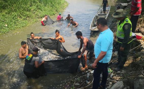 Personas a orillas del rio recogiendo peces