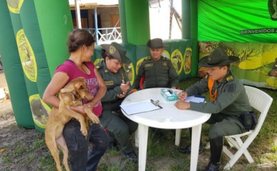 Personas en jornadas de esterilizacion