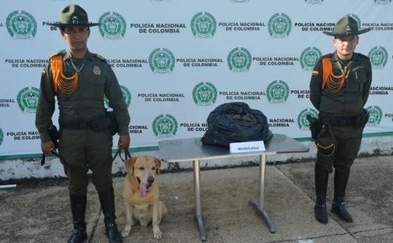 Dos policias al lado de una carga de marihuna en un mesa