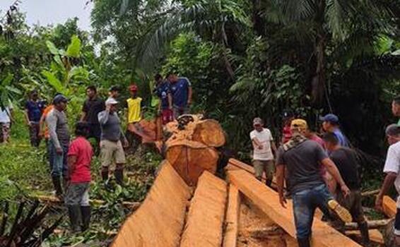 image for Comunidad de Ticoya se une para salvar su puente peatonal