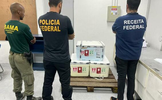 image for Homem e preso no aeroporto de Manaus tentando transportar arraias vivas