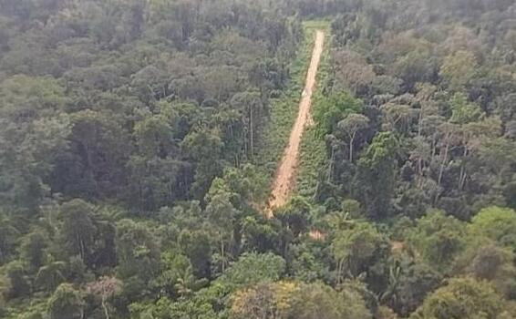 image for MT tem maior número de pistas de pouso clandestinas