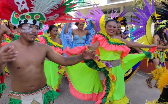 Para formarse en los programas del SENA Plataformas tecnologicas