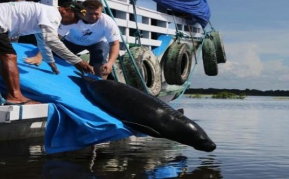 Venta de Licor Lugares Nocturnos