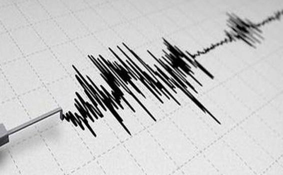 Imagen de un resultado de un sismografo despues de un sismo