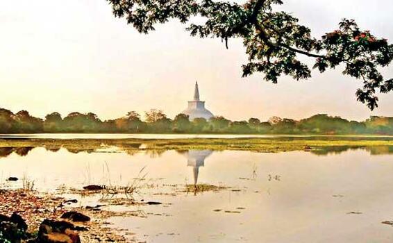 image for Former Ministers land reclamation activities cause concern