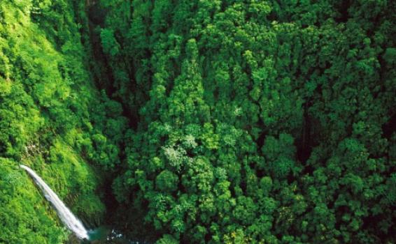 Area verde en Costa Rica