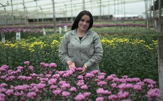 Colombia podrá exportar flores a Brasil a partir de febrero image for Colombia podrá exportar flores a Brasil a partir de febrero