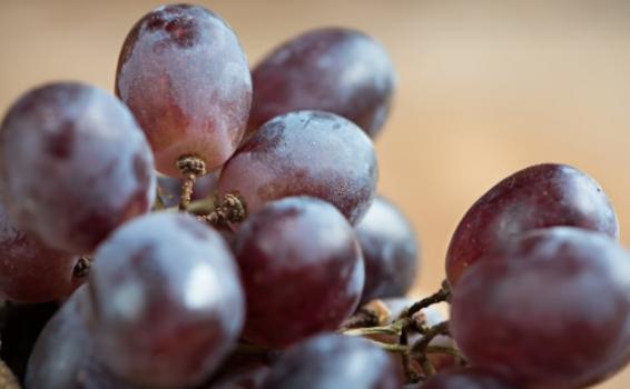 El fin de año es un momento perfecto para hacer un alto en nuestras vidas Uvas en un racimo