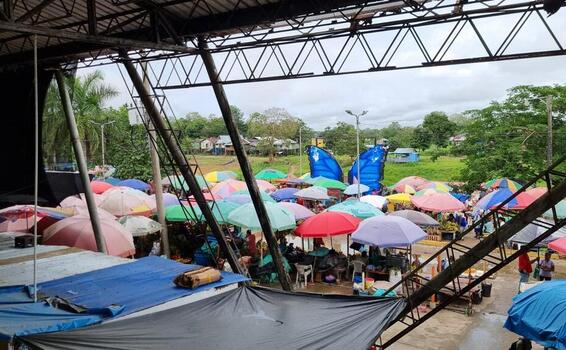 Alerta en Leticia / Crisis del Río Amazonas image for Alerta en Leticia / Crisis del Río Amazonas