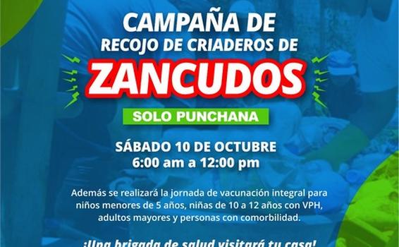 image for Campaña de recojo de criaderos de zancudos