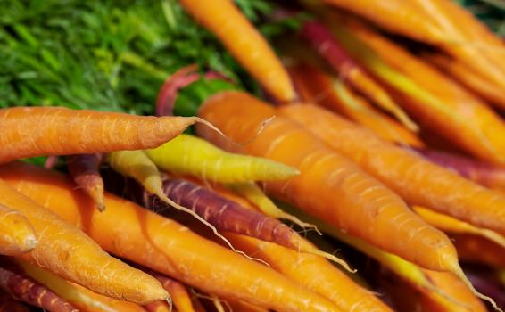 Zanahorias en una plaza de mercado