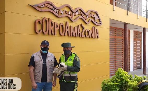 EL GRUPO DE PROTECCIÓN AMBIENTAL Y ECOLÓGICA DEAMA EL GRUPO DE PROTECCIÓN AMBIENTAL Y ECOLÓGICA DEAMA