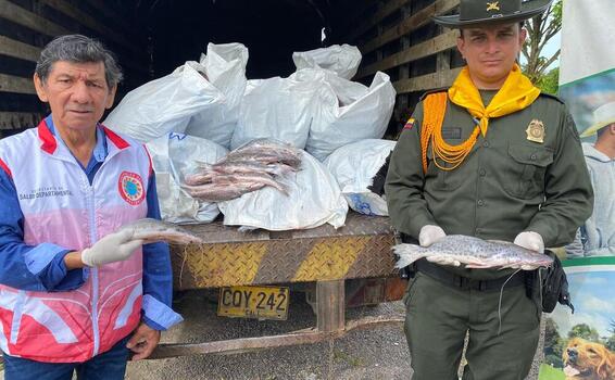 La policía nacional en el amazonas, logra la incautación de 25 kilogramos de pescados, los cuales serian comercializados de manera ilegal.