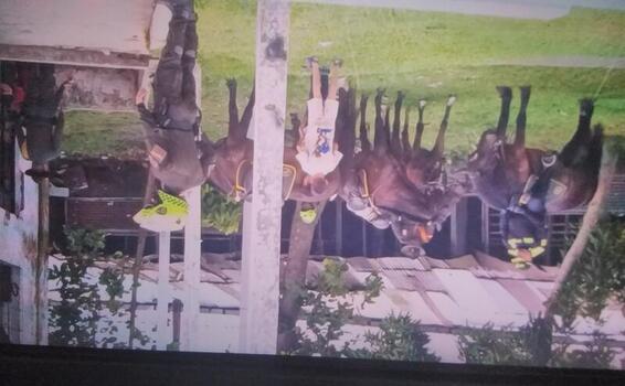 La Policía Nacional fortalece su presencia en Leticia durante el puente festivo con patrullajes montados La Policía Nacional fortalece su presencia en Leticia durante el puente festivo con patrullajes montados