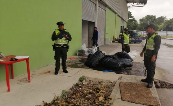 Se incauta cargamento de pescado mota en el Aeropuerto Internacional Alfredo Vásquez Cobo