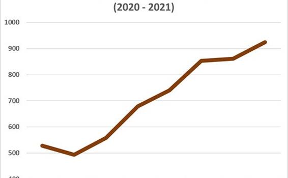 Los ciberataques aumentaron un 50% en 2021 y alcanzaron su máximo en diciembre debido a los exploits de Log4J