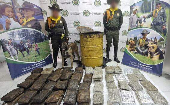 Binomio Canino de la Policía, halló 78 kilogramos de Marihuana en Leticia Binomio Canino de la Policía, halló 78 kilogramos de Marihuana en Leticia