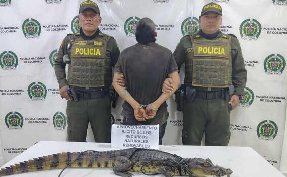 Una acción contundente de la Policía Nacional en defensa de los recursos naturales en el Amazonas Una acción contundente de la Policía Nacional en defensa de los recursos naturales en el Amazonas