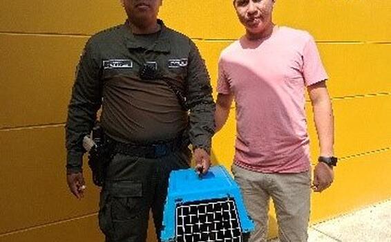 Acciones conjuntas en Leticia permiten la recuperación de fauna silvestre con apoyo de carabineros